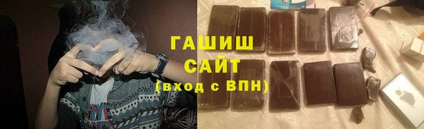 соль ск Инсар