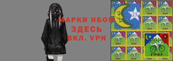 соль ск Инсар