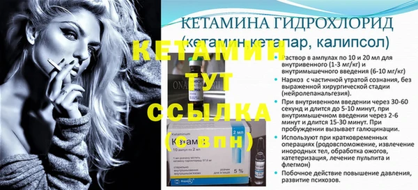 соль ск Инсар
