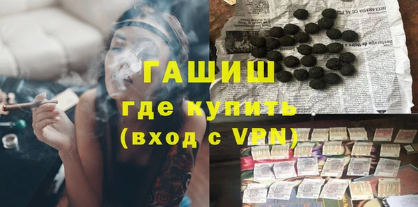 соль ск Инсар