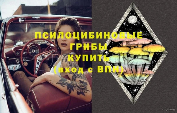 соль ск Инсар
