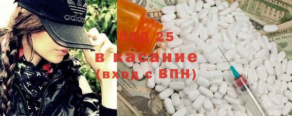 соль ск Инсар