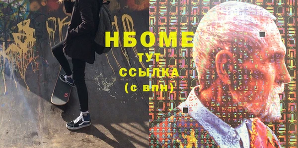 соль ск Инсар