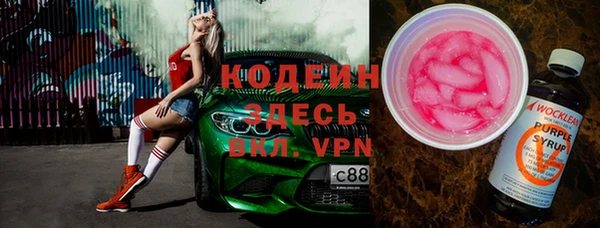 соль ск Инсар